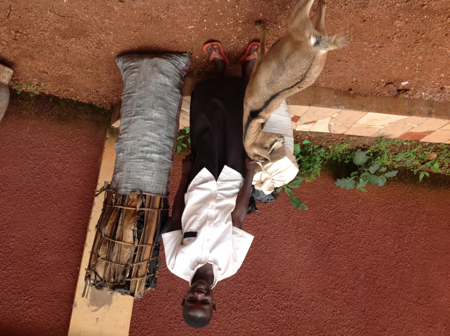 Advocacy for women orphans and Batwa  Advocacy for women orphans and Batwa